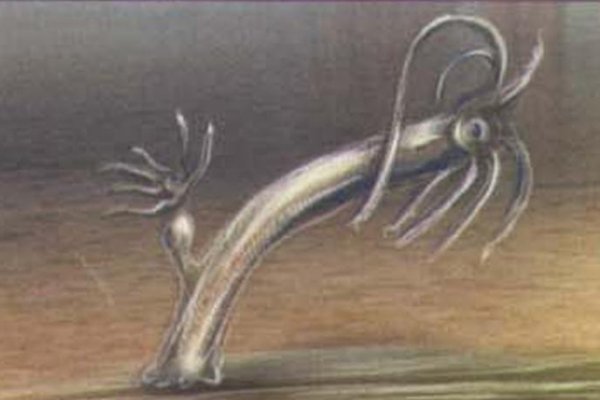 Kraken зайти на сайт