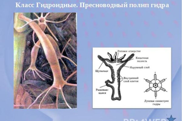 Кракен ссылка официальная в тор