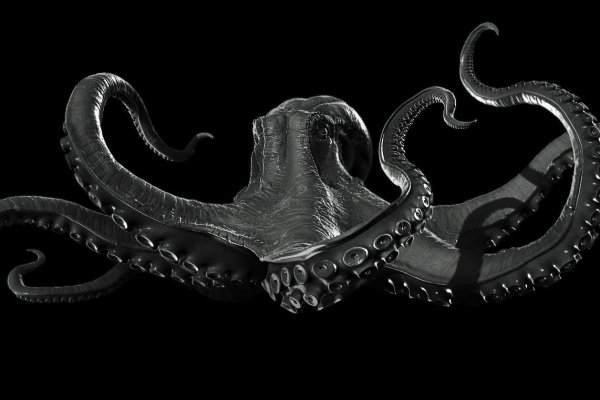 Kraken зеркало krakens13 at