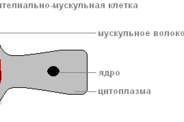 Кракен москва наркотики