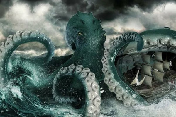 Kraken 19 at
