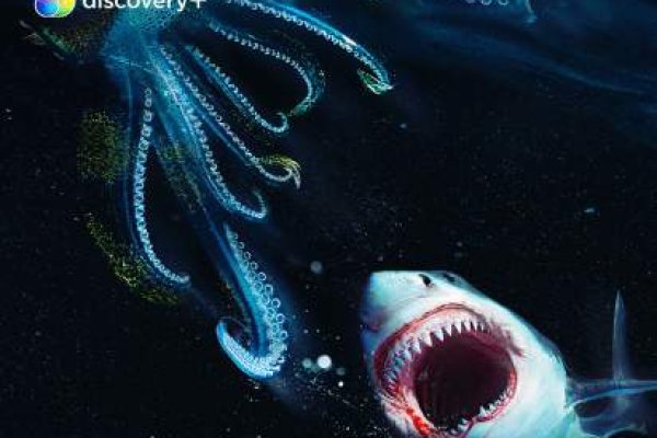 Kraken ссылка тг