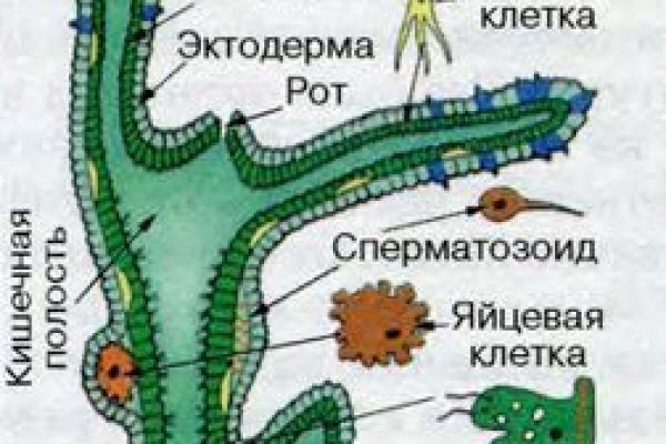 Кракен маркетплейс ссылка тг