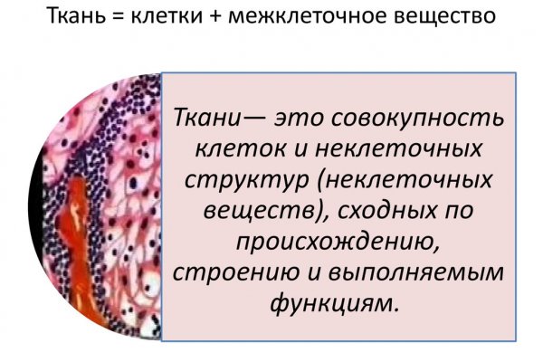 Кракен даркнет в тор