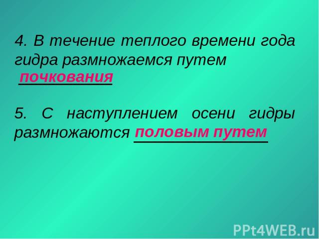Как войти на сайт кракен